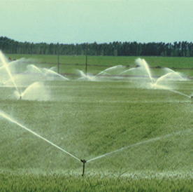 Lawn Sprinkler System