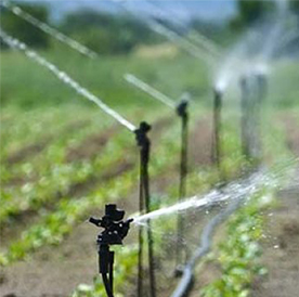 Backyard Irrigation System